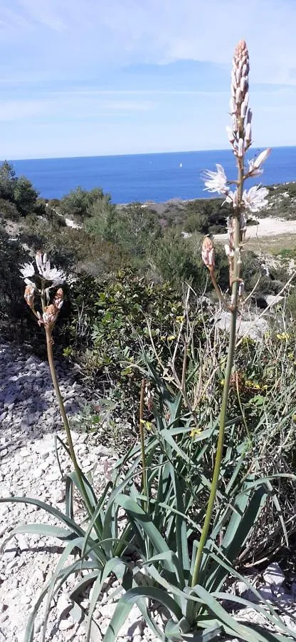 Maison Vue Magistrale Sur Le Port Et Calanques Des Goudes Marseille